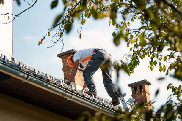 Best Roof Repair Specialists  in Somerset, OH