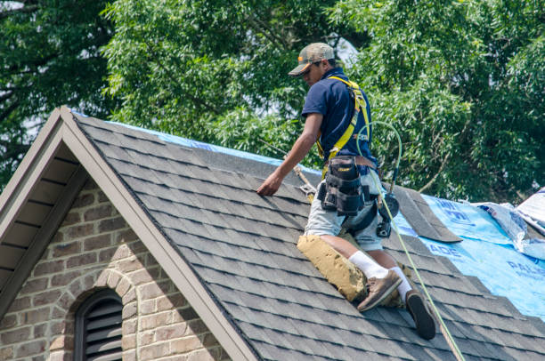 Best Local Roofing Companies  in Somerset, OH
